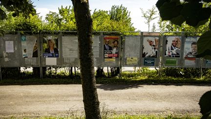 Des panneaux électoraux pour les législatives, le 27 mai dans le village de&nbsp;Montbrun-Lauragais&nbsp;(Haute-Garonne). (ERIC CABANIS / AFP)