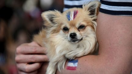 Coupe du Monde : la France en effervescence