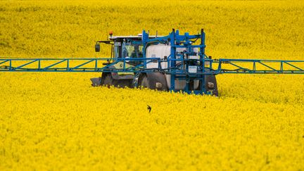 Agriculteurs : quand ils deviennent des cibles