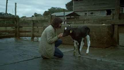 "La vache qui chantait le futur", de la réalisatrice chilienne Francisca Alegría, juillet 2023 (NOURS FILMS)