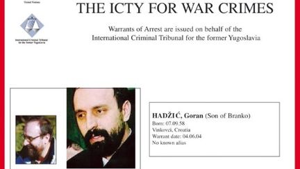 Goran Hadzic, auteur de crimes de guerre dans les Balkans, a été arrêté. (AFP Photo / UN ICTY OTP MAPPING LIBRARY)