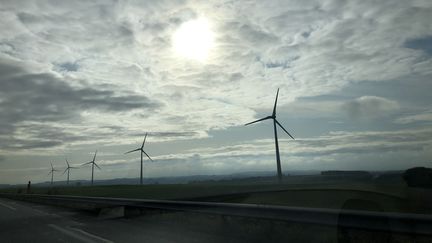 Des éoliennes dans un champ en bordure de l’autoroute A26, en Picardie, dans les Hauts-de-France. (AURÉLIEN ACCART / FRANCEINFO)