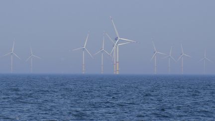 Un parc éolien en mer, le 5 juin 2019 en mer Baltique, dans le nord de l'Allemagne. (TOBIAS SCHWARZ / AFP)