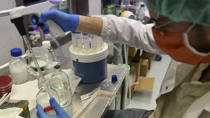 Un laboratoire qui travaille sur le coronavirus à Bologne (Italie). Photo d'illustration. (MIGUEL MEDINA / AFP)