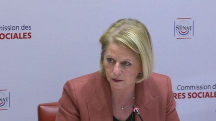 Ehpad : Brigitte Bourguignon entendue par la commission du Sénat (Capture d'écran franceinfo)