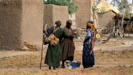 Dans un village dogon, au Mali, le 2 mai 2019. (PHILIPPE ROY / AFP)