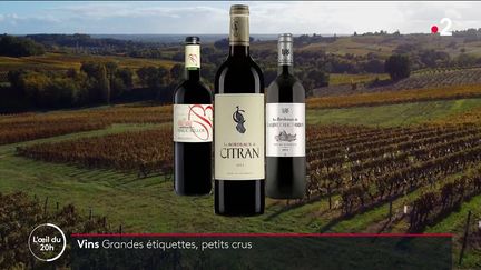 Vins de Bordeaux : de grandes étiquettes pour des petits crus (FRANCE 2)