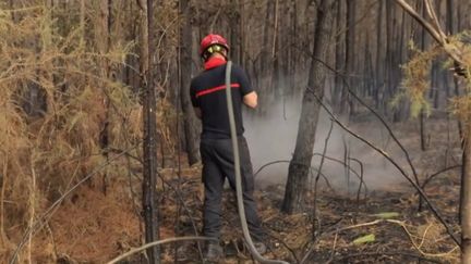 Incendies en Gironde et dans les Landes : peut-on espérer une accalmie pour le week-end ?&nbsp; (France 2)