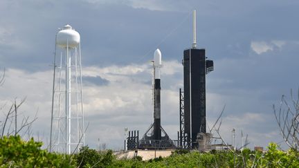 Une fusée SpaceX Falcon 9 s'apprète à lancer 57 satellites Starlink, le 10 juillet 2020. (JOE MARINO / MAXPPP)