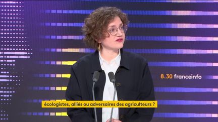 Marie Toussaint, MEP and head of the EELV list in the European elections, guest on 8:30 a.m. franceinfo, Saturday February 24, 2024. (franceinfo)