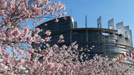 Les cerisiers fleurissent aux abords du Parlement européen à Strasbourg... (21 mars 2019)
 (Frédérick Florin / AFP)