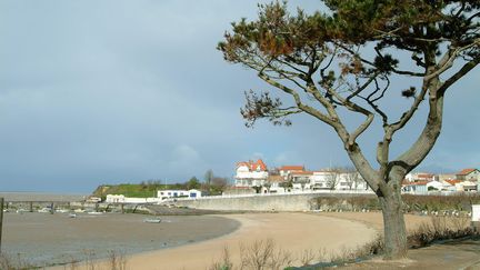 La plage de Fouras où du pollen a été retrouvé.&nbsp; (XAVIER LEOTY / MAXPPP)