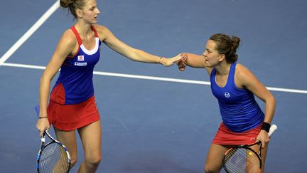 Pliskova et Strycova offrent la victoire à la République Tchèque.  (PATRICK HERTZOG / AFP)