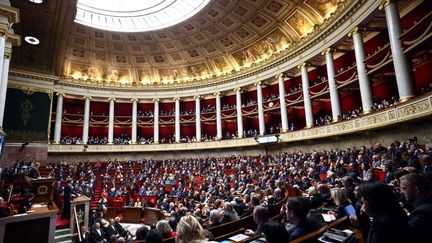 The hemicycle of the National Assembly, January 30, 2024. (EMMANUEL DUNAND / AFP)