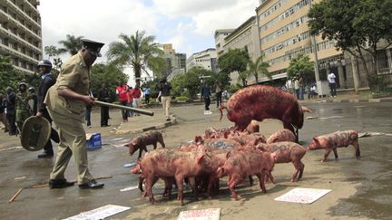 Un policier tente de contr&ocirc;ler des cochons lors d'une manifestation devant le Parlement &agrave; Nairobi (Kenya), le 14 mai 2013. (THOMAS MUKOYA / REUTERS)