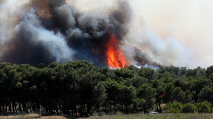 Incendie à Port-de-Bouc (Bouches-du-Rhône) le 4 août 2020.&nbsp; (SERGE GUEROULT / MAXPPP)