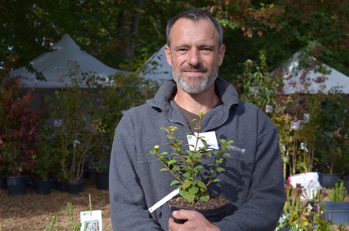 Frédéric Lantin, producteur bio dans le Maine-et-Loire porte un plan de ragouminier. (DIMITRI KALIORIS / RADIO FRANCE)