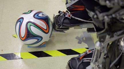 Le ballon du Mondial est pouss&eacute; par un exosquelette d&eacute;velopp&eacute; par l'&eacute;quipe du chercheur br&eacute;silien Miguel Nicolelis, dans son laboratoire de Sao Paulo (Br&eacute;sil). (BIGBONSAI-LENTEVIVAFILMES / AFP)