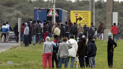 Des migrants qui tentent de s'introduire dans un camion sur le port de Calais (Pas-de-Calais), &nbsp;le 10 septembre 2014. (DENIS CHARLET / AFP)