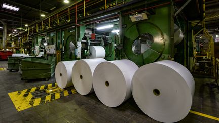 Des rouleaux de papier dans l'usine à&nbsp;Besse-sur-Braye (Sarthe) le 27 mars 2019. (JEAN-FRANCOIS MONIER / AFP)