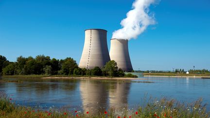 EDF a tenté de récupérer 140 hectares autour de la centrale de Belleville-sur-Loire, dans le Cher pour installer une piscine de combustibles nucléaires. (Feifei Cui-Paoluzzo - GETTY Images)