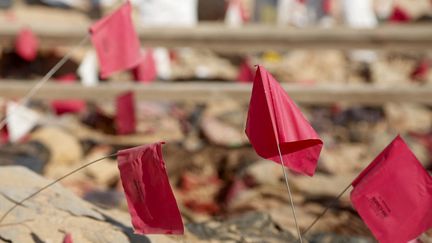 Des drapeaux indiquent l'emplacement des restes humains exhumés d'une fosse commune à Tal al-Shaikhia, dans la province de Muthanna (Irak), le 25 décembre 2024. (HAIDAR INDHAR / AFP)