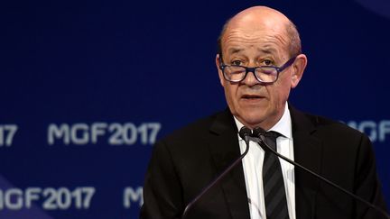 Le ministre des Affaires étrangères, Jean-Yves Le Drian, à Riyad, la capitale saoudienne, le 16 novembre 2017. (FAYEZ NURELDINE / AFP)