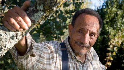 Pierre Rabhi dans le documentaire "Pierre Rabhi, au  nom de la Terre" de Marie-Dominique Dhelsing.
 (Nour Films)