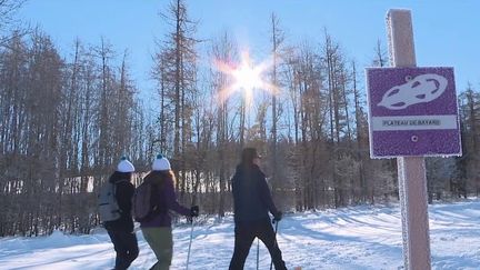 Montagne : les raquettes ont la cote