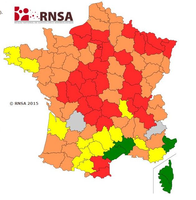 Capture d'&eacute;cran d'une carte du R&eacute;seau national de surveillance a&eacute;robiologique montrant le risque allergique pour la semaine du 17 au 24 avril 2015. (RNSA )