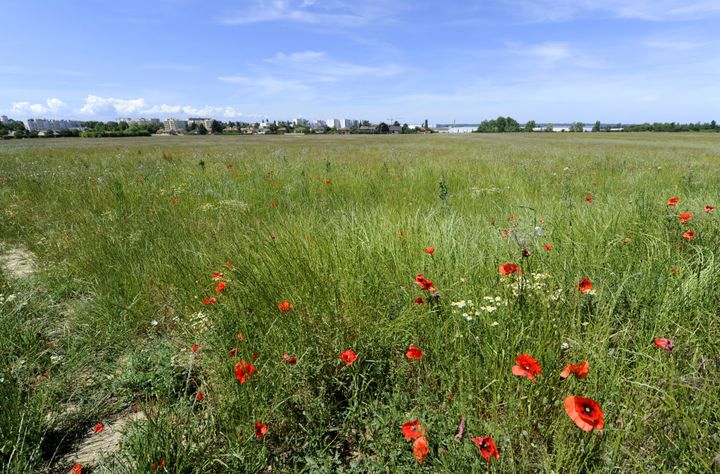 Le site du futur stade de l'OL, le 17 mai 2011 &agrave; D&eacute;cines-Charpieu (Rh&ocirc;ne). (PHILIPPE DESMAZES / AFP)