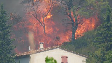 Les flammes de l'incendie à Correns (Var), le 19 juillet 2016. (MAXPPP)