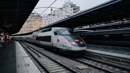 Un TGV quitte la gare de l'Est à Paris, le 13 novembre 2021. (BENOIT DURAND / HANS LUCAS / AFP)