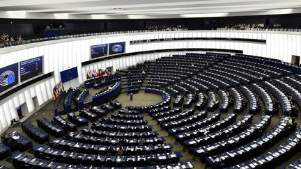 Les députés dans l'hémicycle du Parlement Européen de Strasbourg (Bas-Rhin).&nbsp; (MAXPPP)