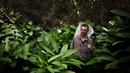 L'entomologiste Nicolas Moulin tentant de découvrir des indices de la présence du Papilio antimachus dans la forêt de la Lobaye, en Centrafrique (5 décembre 2019. (FLORENT VERGNES / AFP)