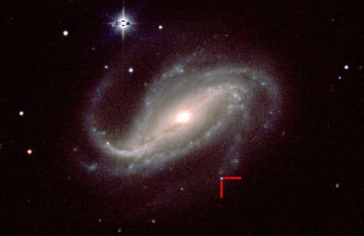 La supernova 2016gkg est indiquée en rouge, dans la galaxie-hôte NGC 613, située à environ 40 millions d'année-lumière de la Terre, dans la constellation du Sculpteur. (C. KILPATRICK / UC SANTA CRUZ / CARNEGIE INSTITUTION FOR SCIENCE  / LAS CAMPANAS OBSERVATORY)