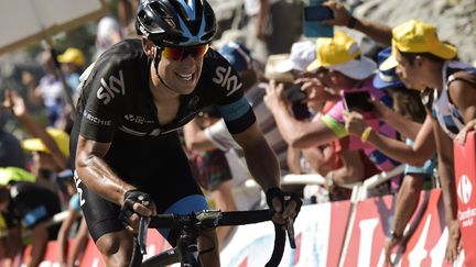 Richie Porte a déjà accompagné trois vainqueurs du Tour de France: Alberto Contador, Bradley Wiggins et Christopher Froome (LIONEL BONAVENTURE / AFP)