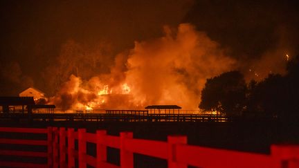 Windsor, en Californie, en flammes, le 27 octobre 2019. (PHILIP PACHECO / AFP)