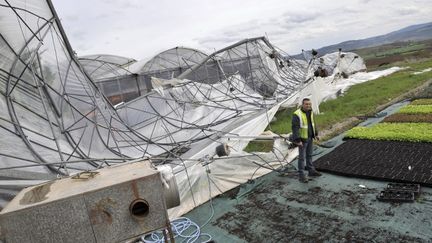 Un horticulteur devant ses serres, le 30 avril 2012 &agrave;&nbsp;Bournoncle-Saint-Pierre (Haute-Loire). (THIERRY ZOCCOLAN / AFP)