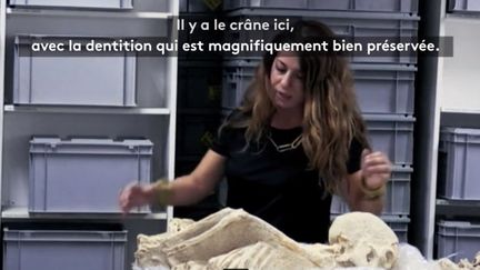 Cold case : enquête sur des morts antiques