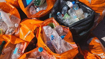 Des bouteilles en plastiques&nbsp;récoltées lors d'une opération de nettoyage sur la plage du Prado, à Marseille, en septembre 2018 (image d'illustration). (THEO GIACOMETTI / HANS LUCAS)