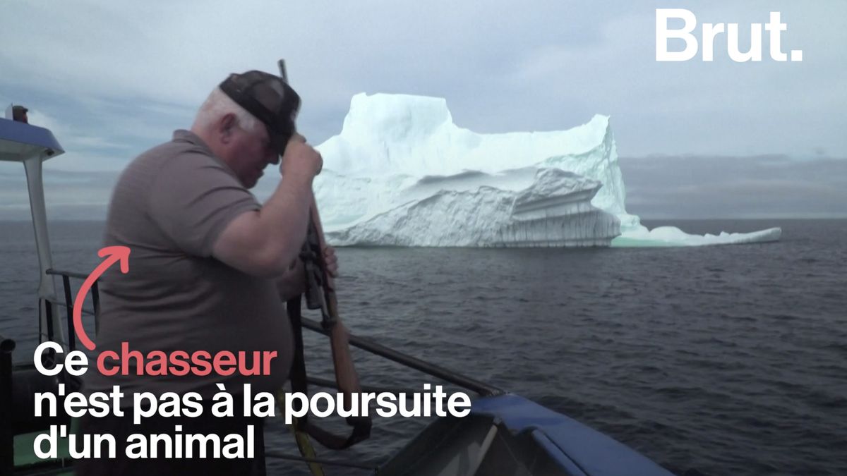 VIDEO. Au Canada la chasse l iceberg et son eau glac e r put e