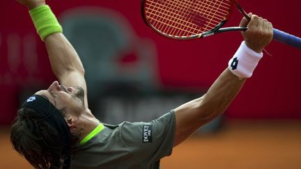 David Ferrer explose de joie (ALEJANDRO PAGNI / AFP)