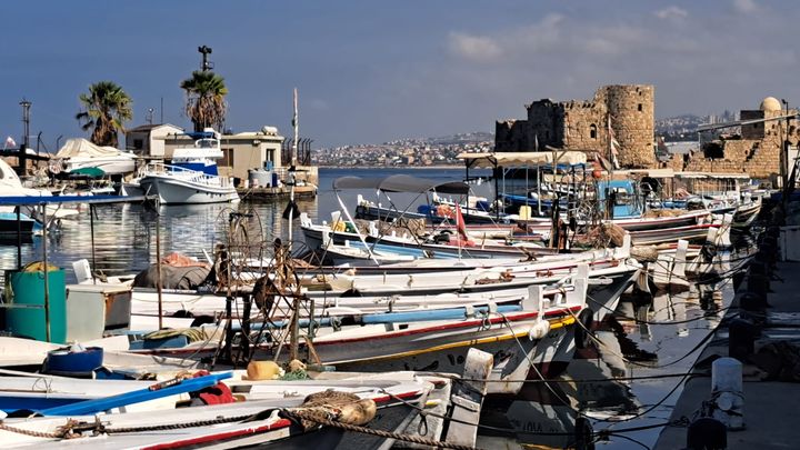 Les bateaux de pêcheurs à quai au port de Saïda (Liban), en octobre 2024. (VIRGINIE PIRONON / RADIOFRANCE)