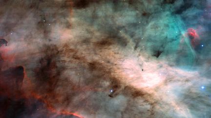 La constellation du Cygne photographiée par le téléscope Hubble, le 30 avril 2002. (NASA / NASA)