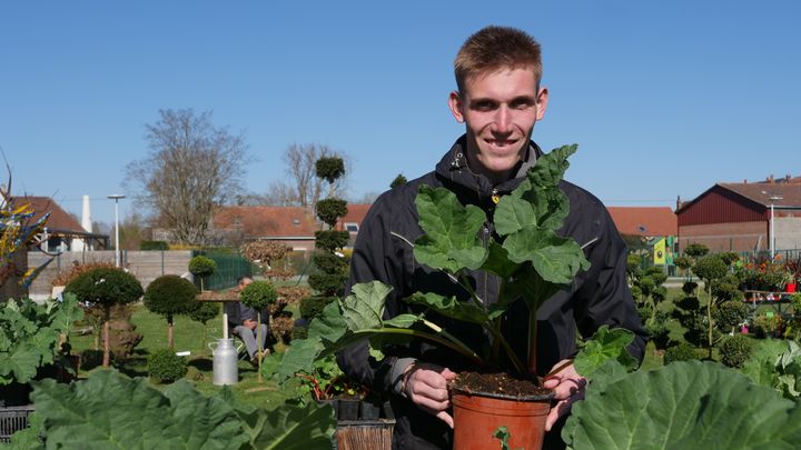 Valentin travaille dans l'entreprise familiale, le Domaine de la Source, à Saint-Riquier, dans la Somme.&nbsp; (ISABELLE MORAND / RADIO FRANCE / FRANCE INFO)