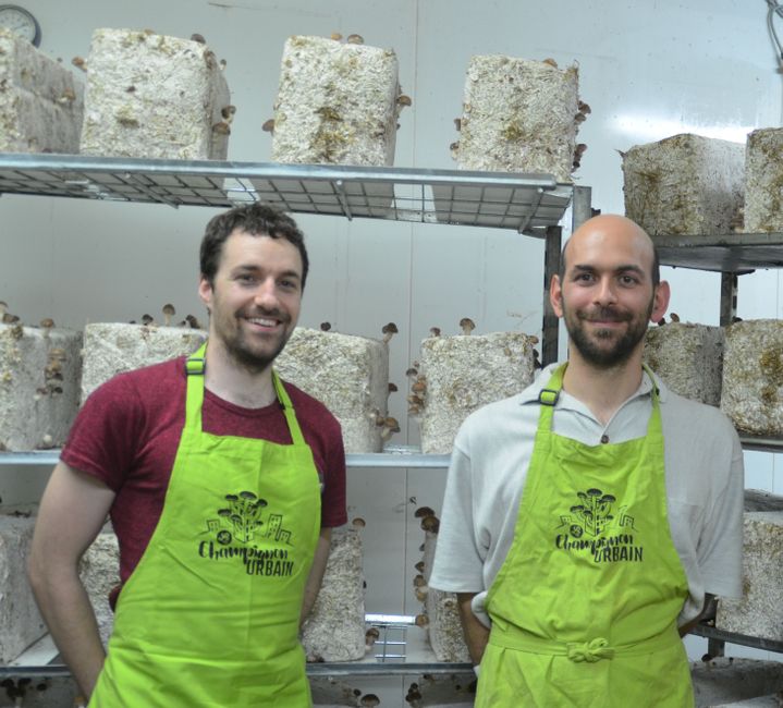 Camille May and Romain Redais, the creators of the Urban Mushroom.  (ISABELLE MORAND / LCU / RADIO FRANCE / FRANCE INFO)