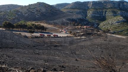 300 hectares avaient été dévorés par les flammes début septembre dans le parc national des Calanques.&nbsp; (CITIZENSIDE/FREDERIC SEGURAN / CITIZENSIDE)