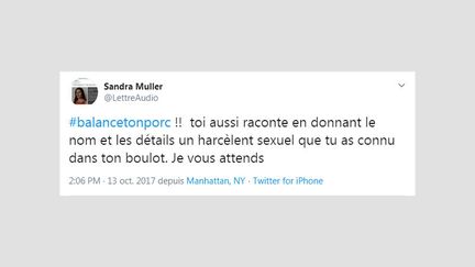 Sandra Muller a invité les femmes à dénoncer le harcèlement au travail via le #balancetonporc. (CAPTURE D'ECRAN TWITTER)