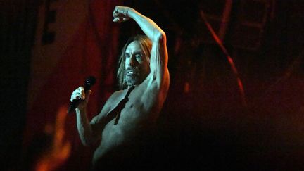 Iggy Pop à la Fête de l'Huma à La Courneuve le 16 septembre 2017.
 (ALAIN JOCARD / AFP)